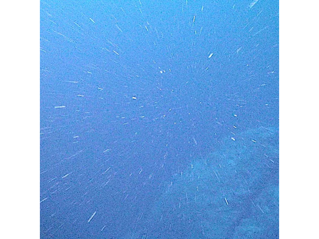 Bild der Website Let it snow, let it snow, let it snow: Mikrobiologie und Meeresschnee  Ein Expertenbeitrag von Dr. Astrid Gärdes